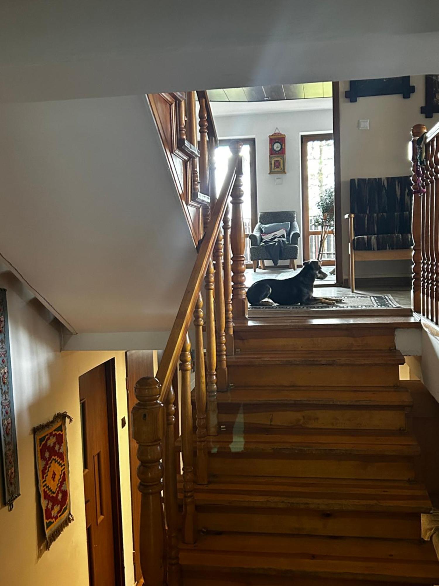 Willa Karolinka Stroza - Pet Friendly Myślenice Eksteriør billede